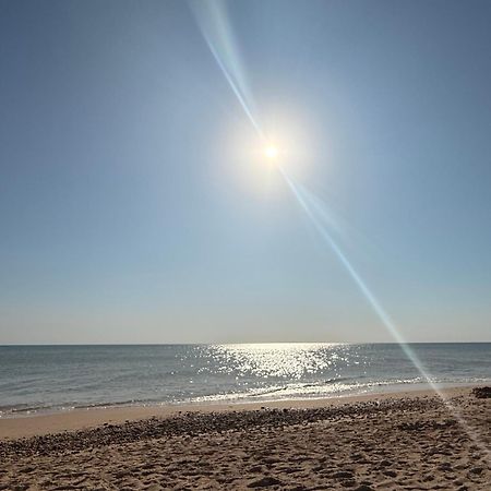 Appartement A 100 M De La Plage St Hilaire De Riez Les Becs Saint-Hilaire-de-Riez Eksteriør billede