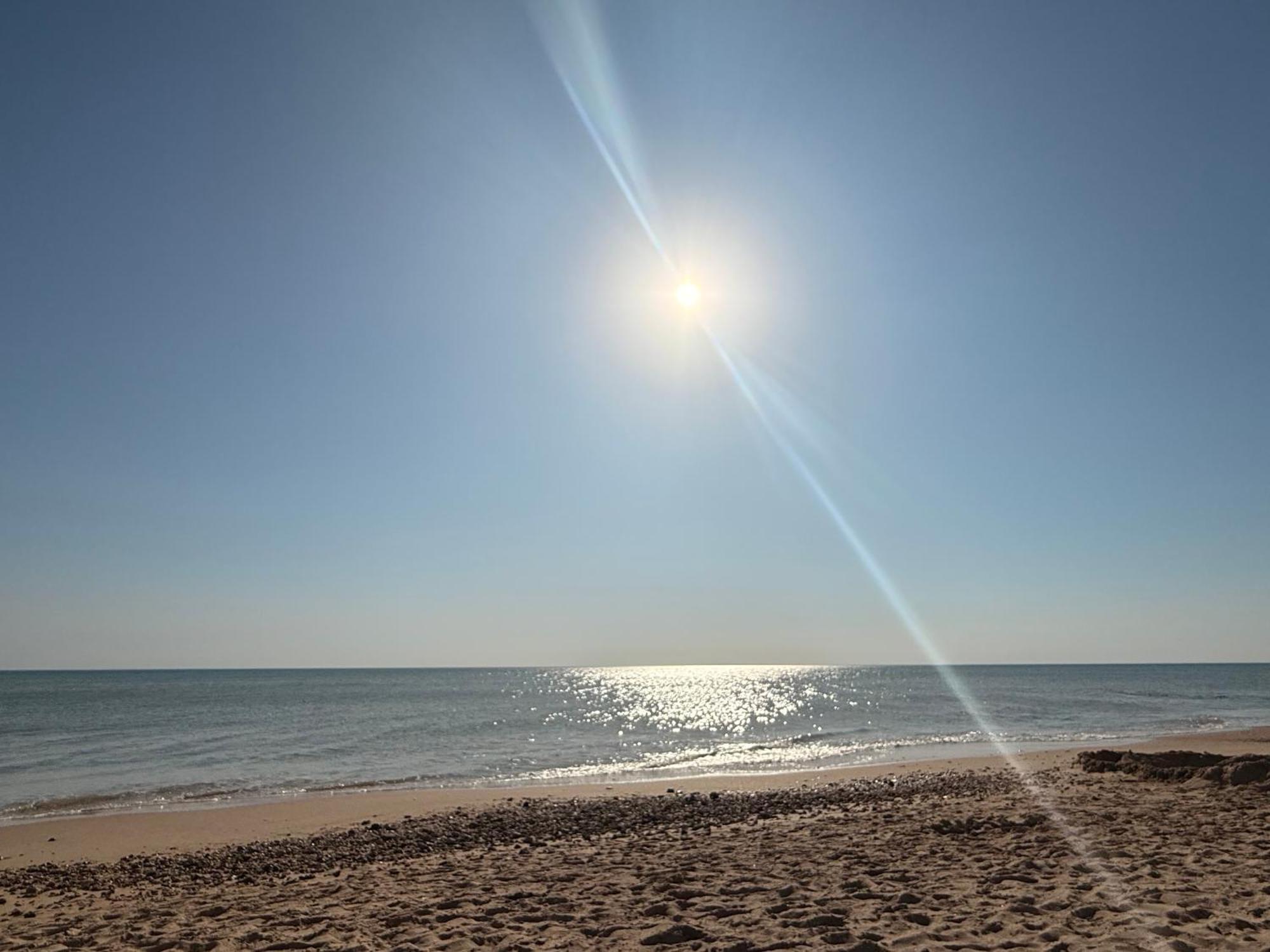 Appartement A 100 M De La Plage St Hilaire De Riez Les Becs Saint-Hilaire-de-Riez Eksteriør billede